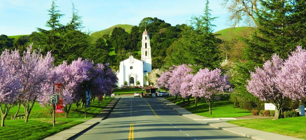 Chapel with cherry blossoms blooming